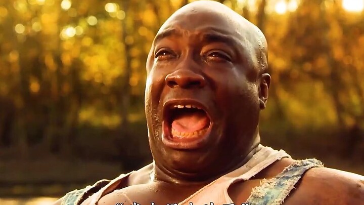 زارت الملائكةُ الأرضَ لكنها رحلت خائبةً.