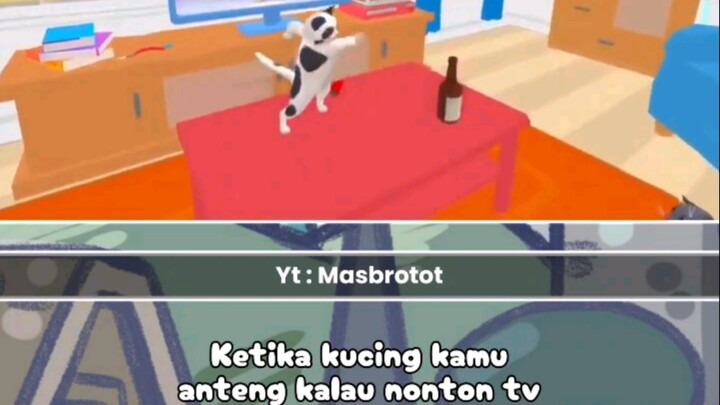 Ketika Kucing Kamu Anteng kalau Nonton Tv | Clipper