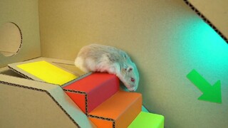 ภารกิจของหนูแฮมสเตอร์ EP 325