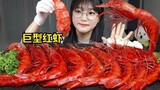 深夜食堂！巨型红虾 (carabinero 虾) 生虾🦐