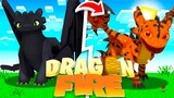 DRAGONFIRE FEBRUARY UPDATE! - A NEW TYPE OF FURY
