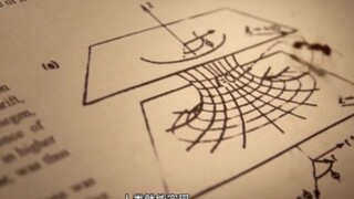 3和4之间还有一个整数，找到他就可以穿梭时空《隐匿的数字》