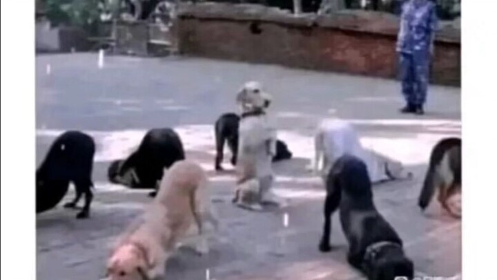 Drawing My Sword, I Look Around in Confusion 😂 — Internet Epic Fail Compilation 278