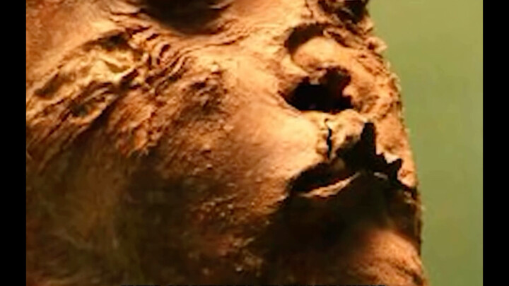 A history teacher at Ural Federal University got a tattoo that’s an exact match to the tattoo of an 