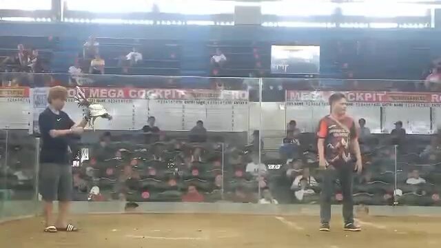 #dipinalad pro ginawa mo pa rin ung best mo #ROLIGONCOCKPITARENA