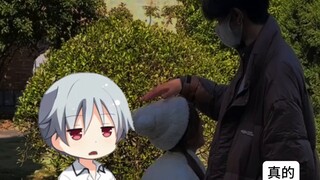 Quá trình tự trồng trọt của Little Potato