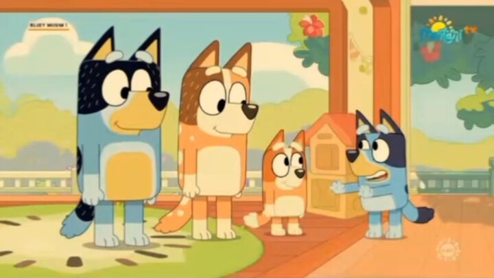 Episode Petak umpet Bluey Dub Indonesia