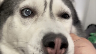 Kantong karung yang dihemat langsung dikirim ke rumah