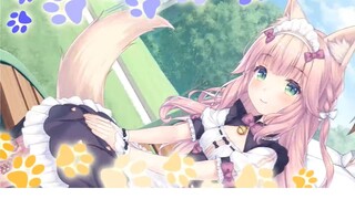 【GAL】来和即将登场于《NEKOPARA vol.4》的新老婆打个招呼吧