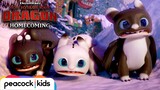 Surprise Visitors in New Berk  | HOW TO TRAIN YOUR DRAGON - HOMECOMING