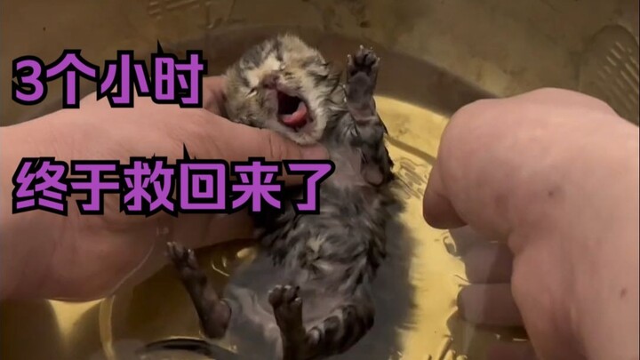 Tiga jam perawatan intensif akhirnya berhasil menyelamatkan nyawa seseorang. Semoga kelak tumbuh men