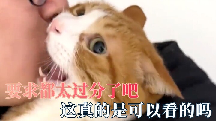 Ini boleh ditonton nggak ya: Entah si anjing ini beneran atau enggak deh