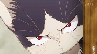 一只猫的自我修养！