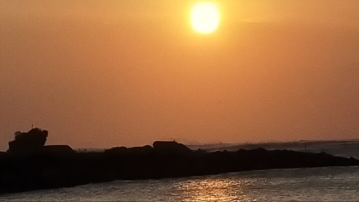 Somebody 2024 (Sub Indo)