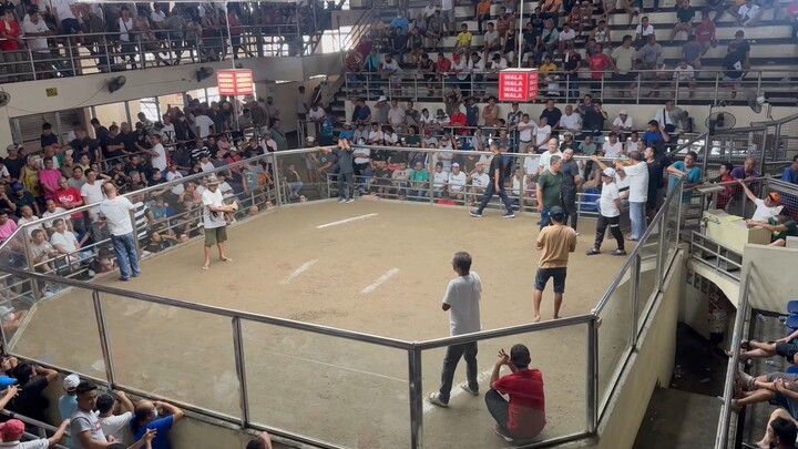 3RD FIGHT (DRAW) Gold (Pateros Cockpit Arena)