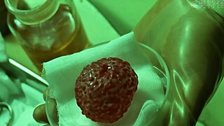 《奥特赛文》第19集｜人体牧场
