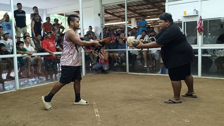 Chamorro vs Chamorro