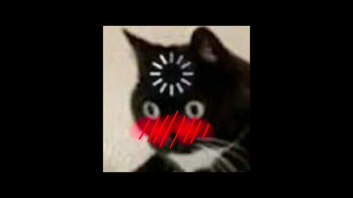 [Ti Bao’s Kitchen Has Been Blocked]