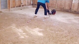 hatch grey x kelso💪