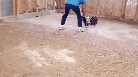 hatch grey x kelso💪