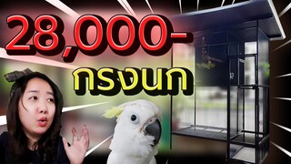 กรงนกแก้ว 28,000฿ ( Outdoor Parrot Aviary Cage) EP.244