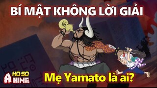 Những bí mật chưa có lời giải ở arc Wano