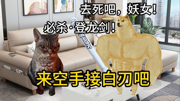 【Meme kucing】Bermain tangan kosong menangkap bilah bersama istri · Dompet gugur