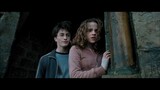 (Fandub Indonesia) Harry Potter dan Hermione Granger time travel