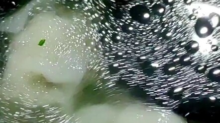 สาวน้อยขณะกินเกี๊ยวซ่าจีนกลับได้พบกับโลกของแวน โก๊ะโดยบังเอิญ ลวดลายในน้ำซุปที่ลอยละล่องช่างคล้ายกับ