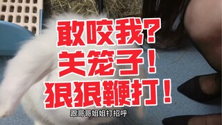 下头楠，看我怎么把你关笼子里狠狠惩罚！