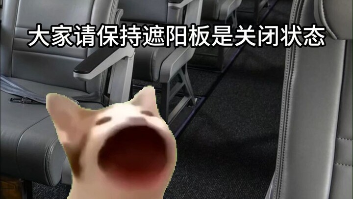 When you land at a dual-use airport,