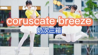 我和解了 也真香了｜奶次三箱coruscate breeze【偶像梦幻祭翻跳】