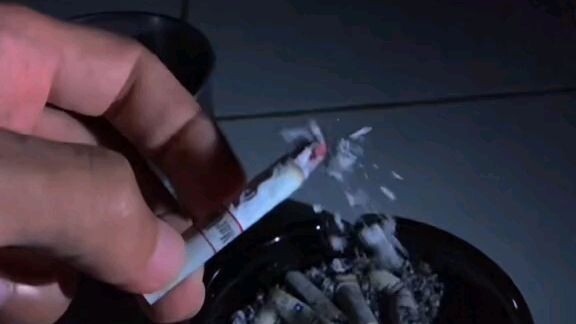 hanya seorang pengagum bukan pecinta