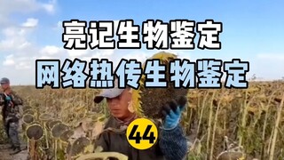 【การระบุทางชีวภาพของเหลียงจี】การระบุทางชีวภาพแบบฮอตอินเทอร์เน็ต 44