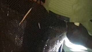 Fishing in Nepal | Himalayan Trout Fishing |