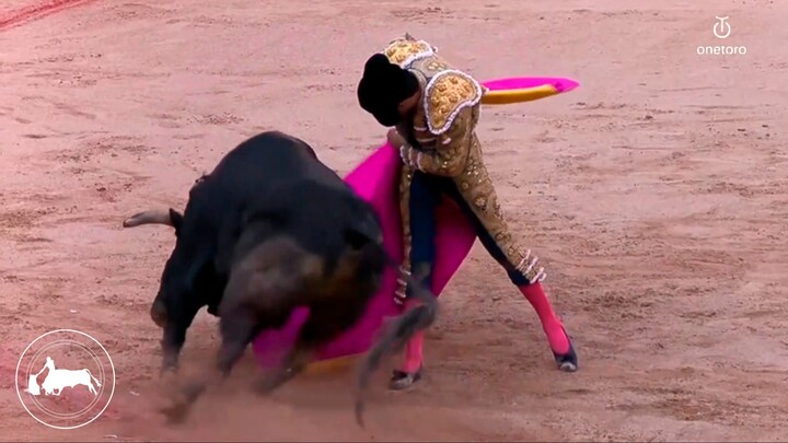 Tomás Rufo, primer toro, quite de Juan Ortega, Feria de San Fermín, Pamplona 14-07-2026, Onetoro TV