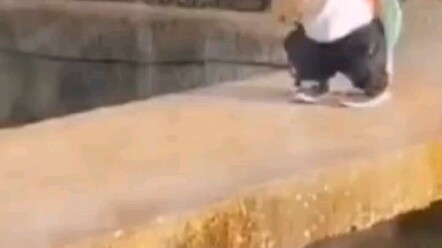 This little lion is just too cute! #PromoteChineseLionDanceCulturalSpirit