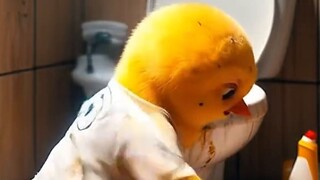 A poor chick being insulted by other chicks