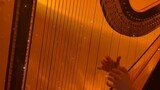 Harp Genshin Impact Xumi "The Melody of Harmony Dream"