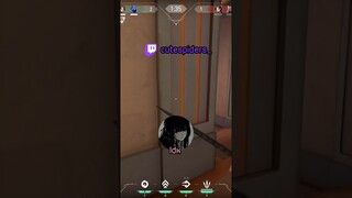 possessive e-girl prank… twitch: cutespiders_ #valorant