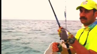 【الحياة اليومية المضحكة للحيوانات على الأرض #168】