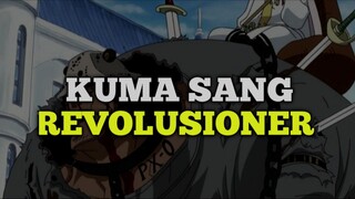 FAKTA MENYEDIHKAN TENTANG KUMA 🔥