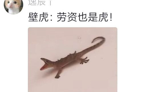 Chết cười, hóa ra lại nghe thấy tắc kè kêu luôn! Lớn từng này mà lần đầu tiên mới nghe thấy tiếng tắ