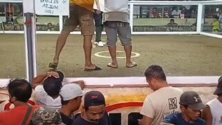 2nd fight lusot den