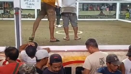 2nd fight lusot den