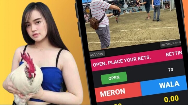 SNIPLAY88 sabung ayam - sabung ayam online - judi sabung ayam online - situs judi sabung ayam online