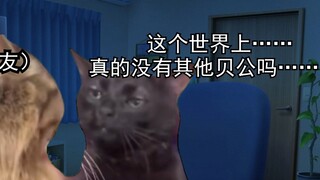 【猫meme】成为贝库塔公之后绝望地发现与世界为敌的故事