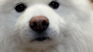 The chubby baby is so cute—your cuteness is literally making me cry!