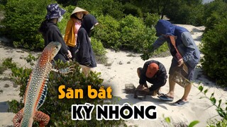 CÔ BA MIỀN TÂY ✅ ĐẶT BẪY SĂN BẮT KỲ NHÔNG BỘI THU