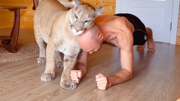 Dad is sick, and Puma Messi shows his love through action.